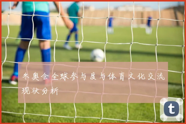 冬奥会全球参与度与体育文化交流现状分析