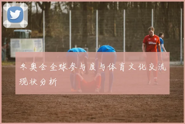 冬奥会全球参与度与体育文化交流现状分析