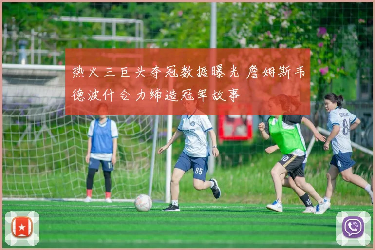 热火三巨头夺冠数据曝光 詹姆斯韦德波什合力缔造冠军故事