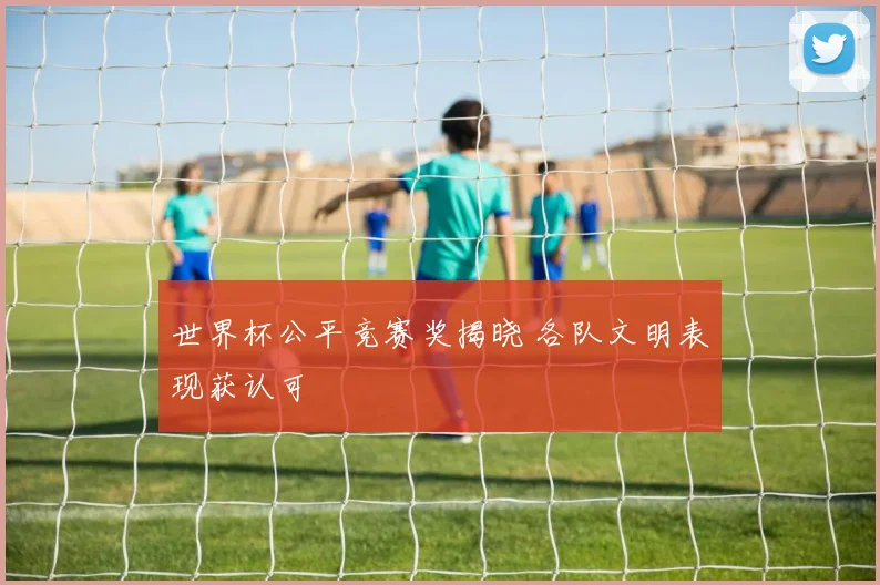世界杯公平竞赛奖揭晓 各队文明表现获认可