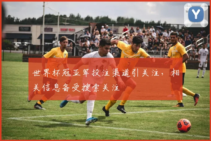 世界杯冠亚军投注渠道引关注，相关信息备受搜索关注