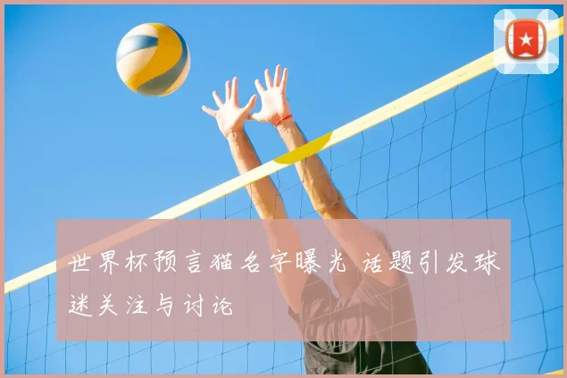 世界杯预言猫名字曝光 话题引发球迷关注与讨论