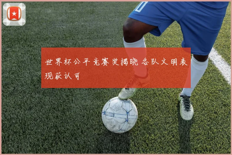 世界杯公平竞赛奖揭晓 各队文明表现获认可
