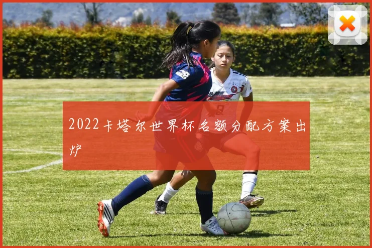 2022卡塔尔世界杯名额分配方案出炉