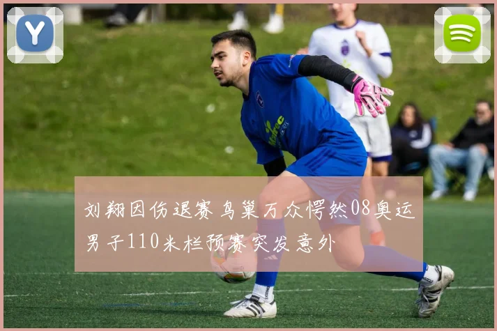 刘翔因伤退赛鸟巢万众愕然08奥运男子110米栏预赛突发意外
