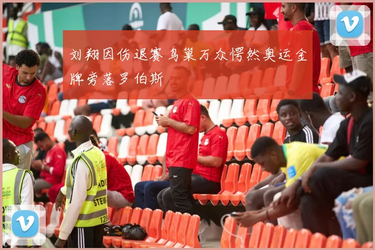 刘翔因伤退赛鸟巢万众愕然奥运金牌旁落罗伯斯