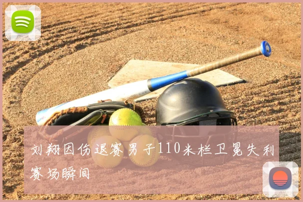 刘翔因伤退赛男子110米栏卫冕失利赛场瞬间