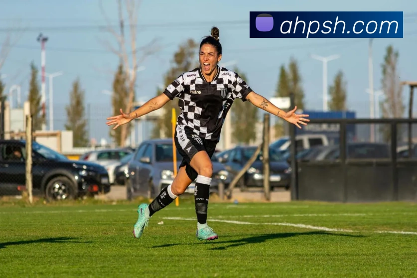 半岛网页版官网平台生态图