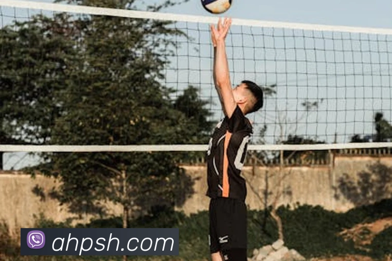 半岛网页版官网APP 封面图